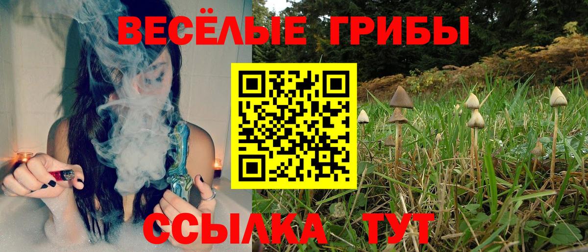 Псилоцибиновые грибы ЛСД Бугульма