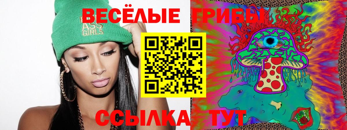 Бугульма  где найти наркотики  Вход с VPN  Псилоцибиновые грибы мицелий 
